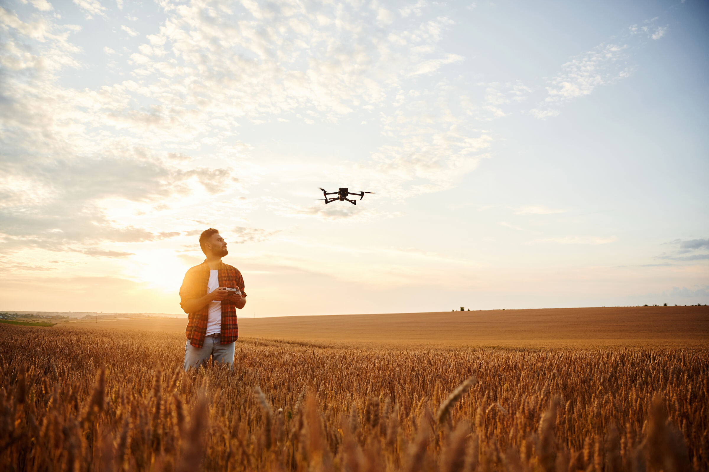 a pilot standing in a golden wheat field at sunset flying a drone overhead