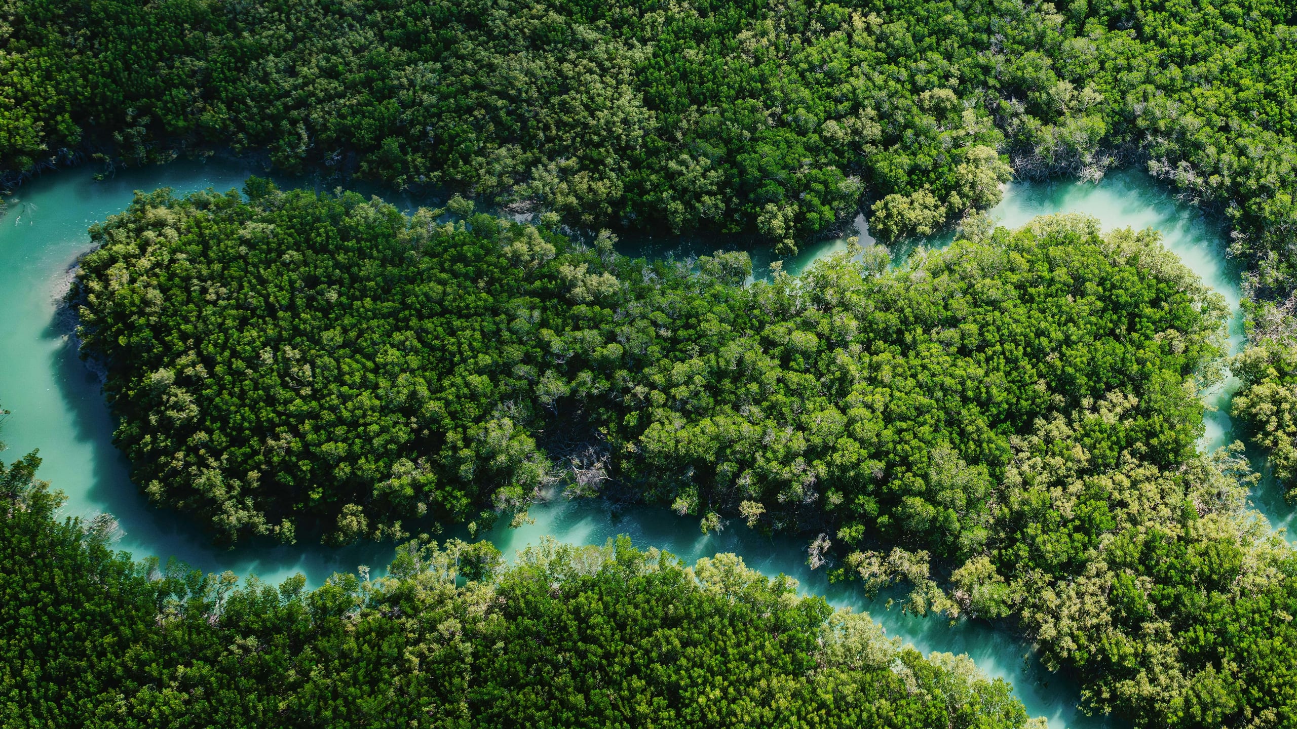 aerial view of a turquoise australian coastline