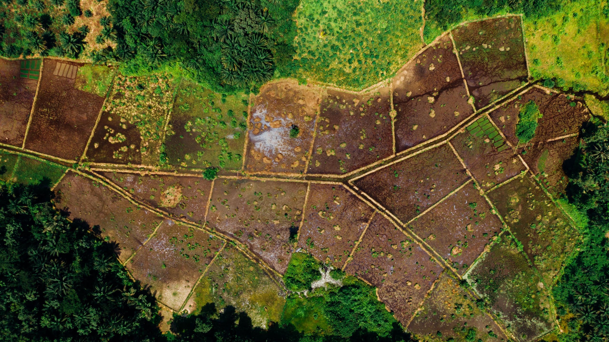top down aerial survey of a city block